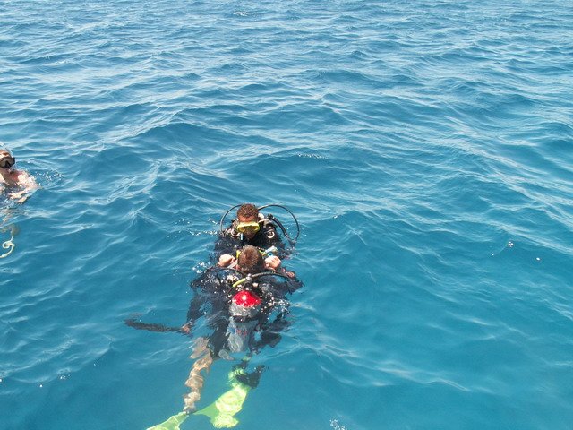 Photograph