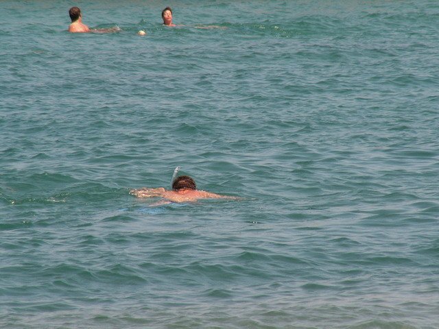Photograph