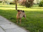 Photo Number 11
