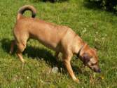 Photo Number 23