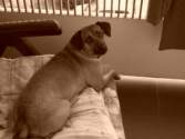 Photo Number 7